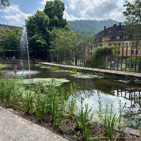 Lotte In Mit Parkplatz Apartment Schramberg